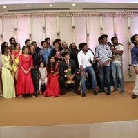 Actor Ashwin Kakumanu - Sonali Wedding Reception Photos | Picture 1453970