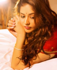 Priyanka Jawalkar Traditional Photoshoot | Picture 1520359