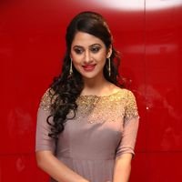 Miya George at Yeman Audio Release Event Photos | Picture 1469554