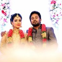 Karthik and Satna Titus Wedding Reception Stills