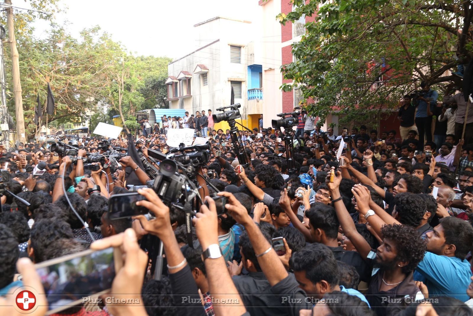 Actor STR Protest against ban of Jallikattu Photos | Picture 1460644
