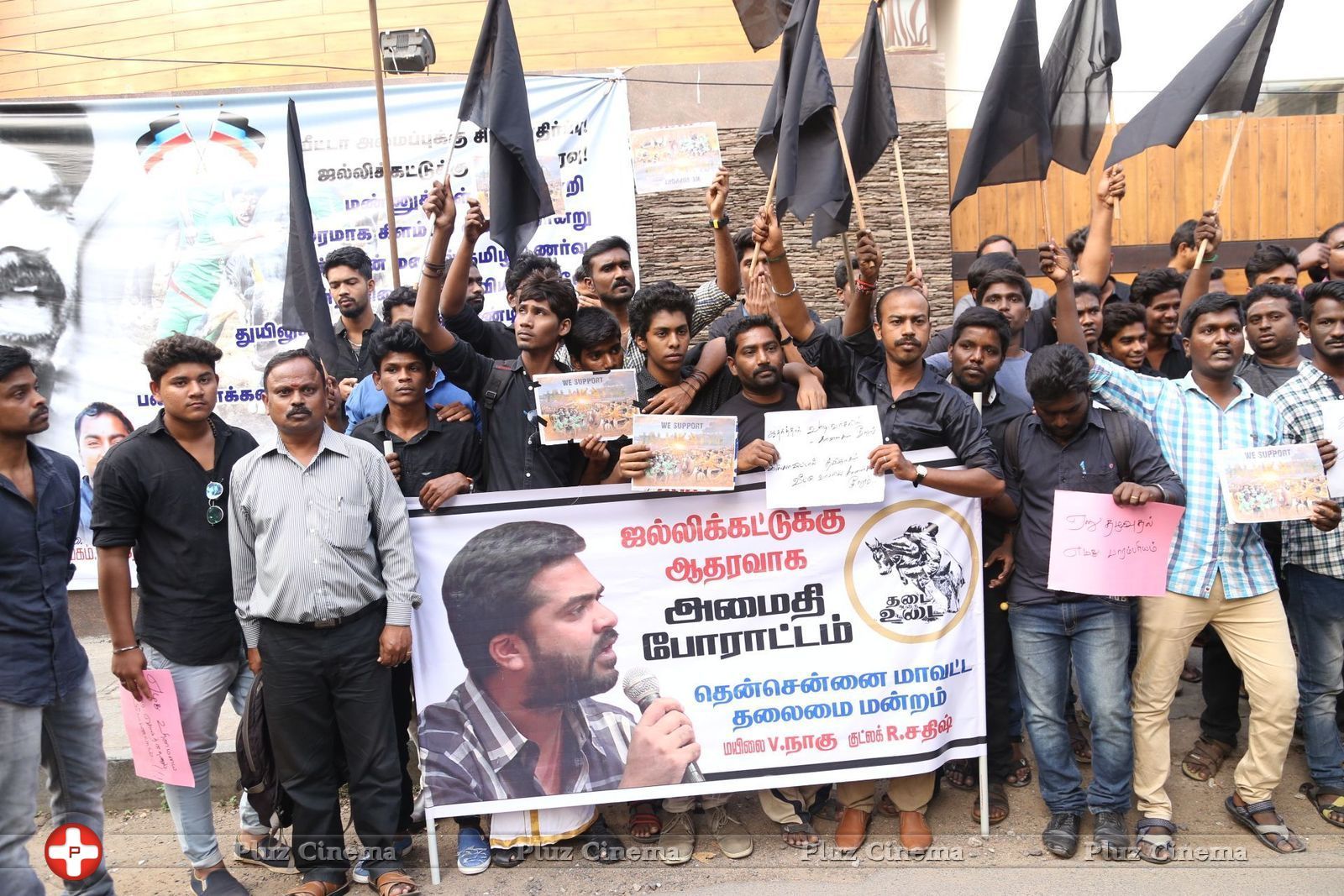 Actor STR Protest against ban of Jallikattu Photos | Picture 1460640