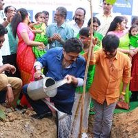 Actor Vivek Launches Sairam Institutions Massive Tree Plantation Campaign Photos | Picture 1460188