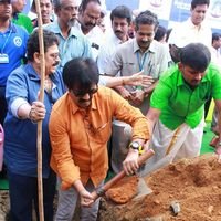 Actor Vivek Launches Sairam Institutions Massive Tree Plantation Campaign Photos | Picture 1460182