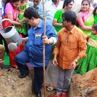 Actor Vivek Launches Sairam Institutions Massive Tree Plantation Campaign Photos | Picture 1460187