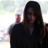 Trisha Krishnan - Nadigar Sangam Silent Protest For Jallikattu Stills
