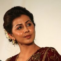 Actress Nikki Galrani In Saree Stills At Maragatha Naanayam Audio Launch