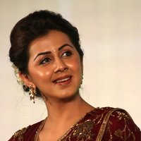 Actress Nikki Galrani In Saree Stills At Maragatha Naanayam Audio Launch | Picture 1482705