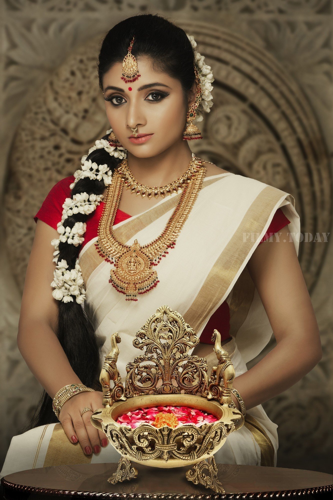 Actress Adhiti Menon in Saree Traditional Photo Shoot Images | Picture 1525735