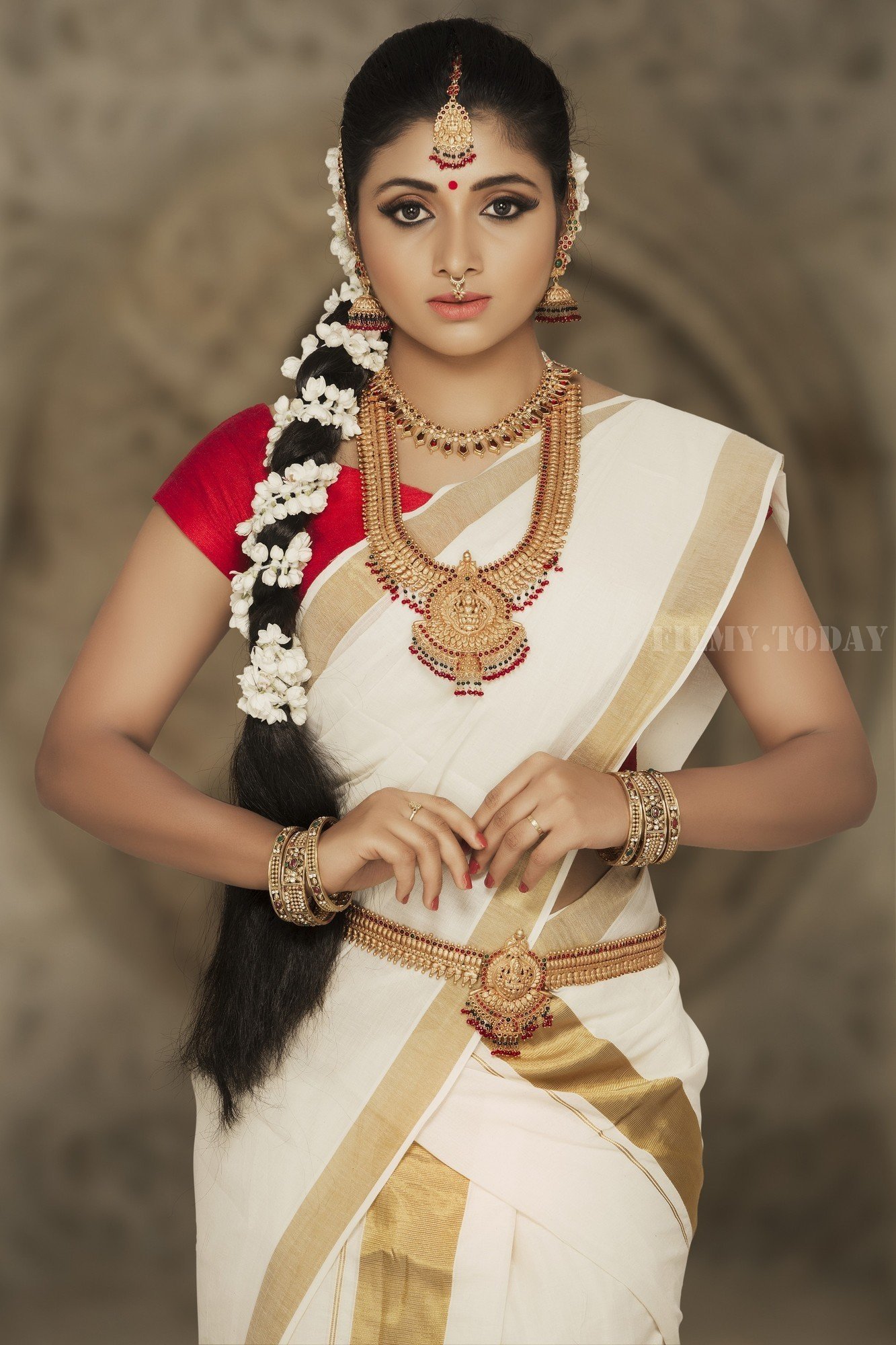 Actress Adhiti Menon in Saree Traditional Photo Shoot Images | Picture 1525734