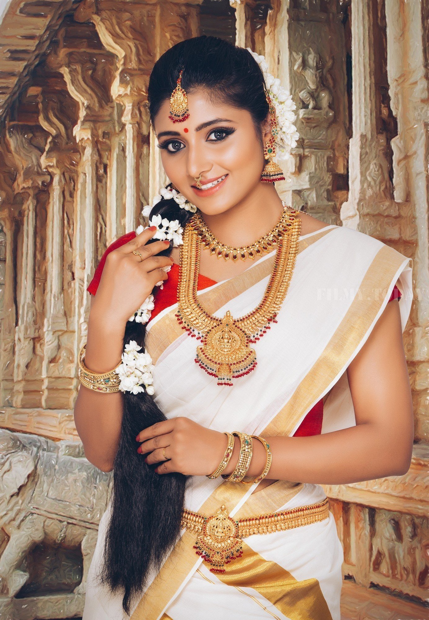 Actress Adhiti Menon in Saree Traditional Photo Shoot Images | Picture 1525733