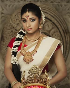 Actress Adhiti Menon in Saree Traditional Photo Shoot Images | Picture 1525735
