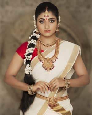 Actress Adhiti Menon in Saree Traditional Photo Shoot Images | Picture 1525734