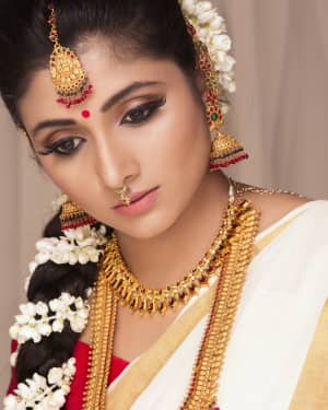 Actress Adhiti Menon in Saree Traditional Photo Shoot Images | Picture 1525732
