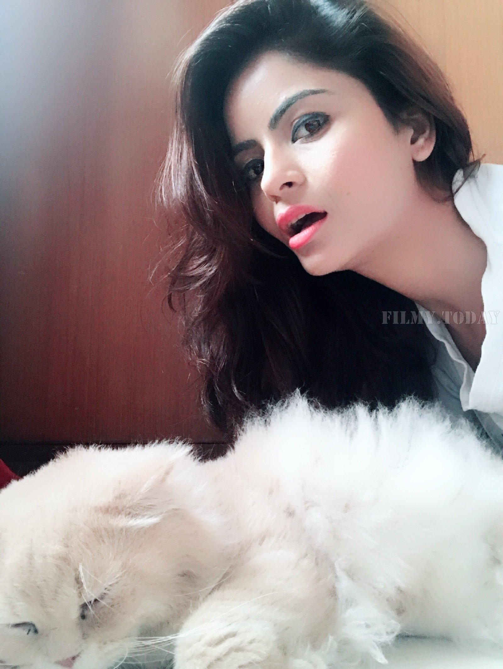 Actress Gehana Vasisth Latest Hot Photoshoot | Picture 1583776