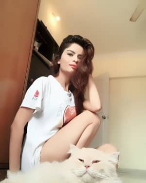 Actress Gehana Vasisth Latest Hot Photoshoot | Picture 1583773