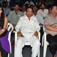 Money Is Honey Movie Audio Launch Stills | Picture 1442087