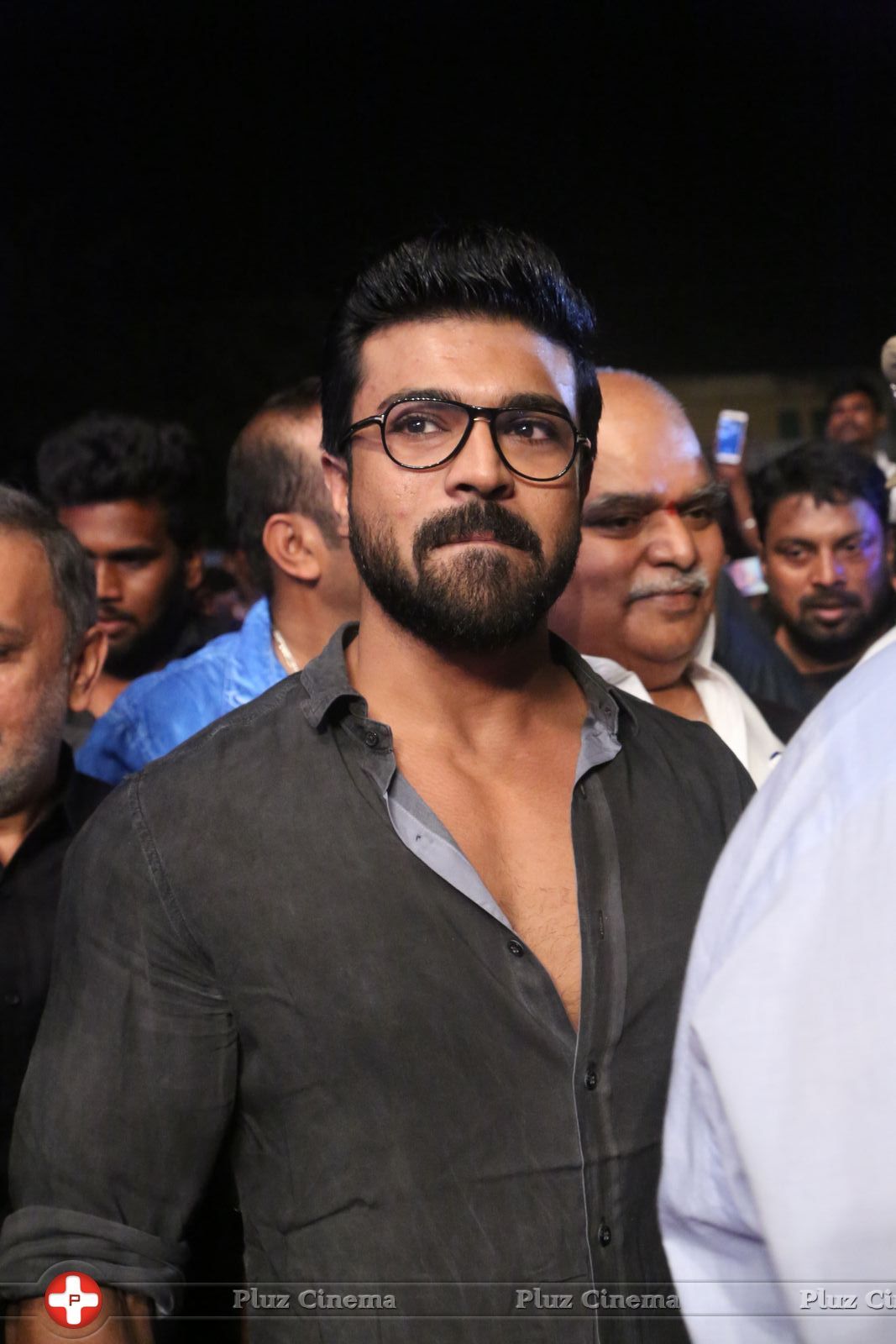 Dhruva Audio Launch Photos | Picture 1443851