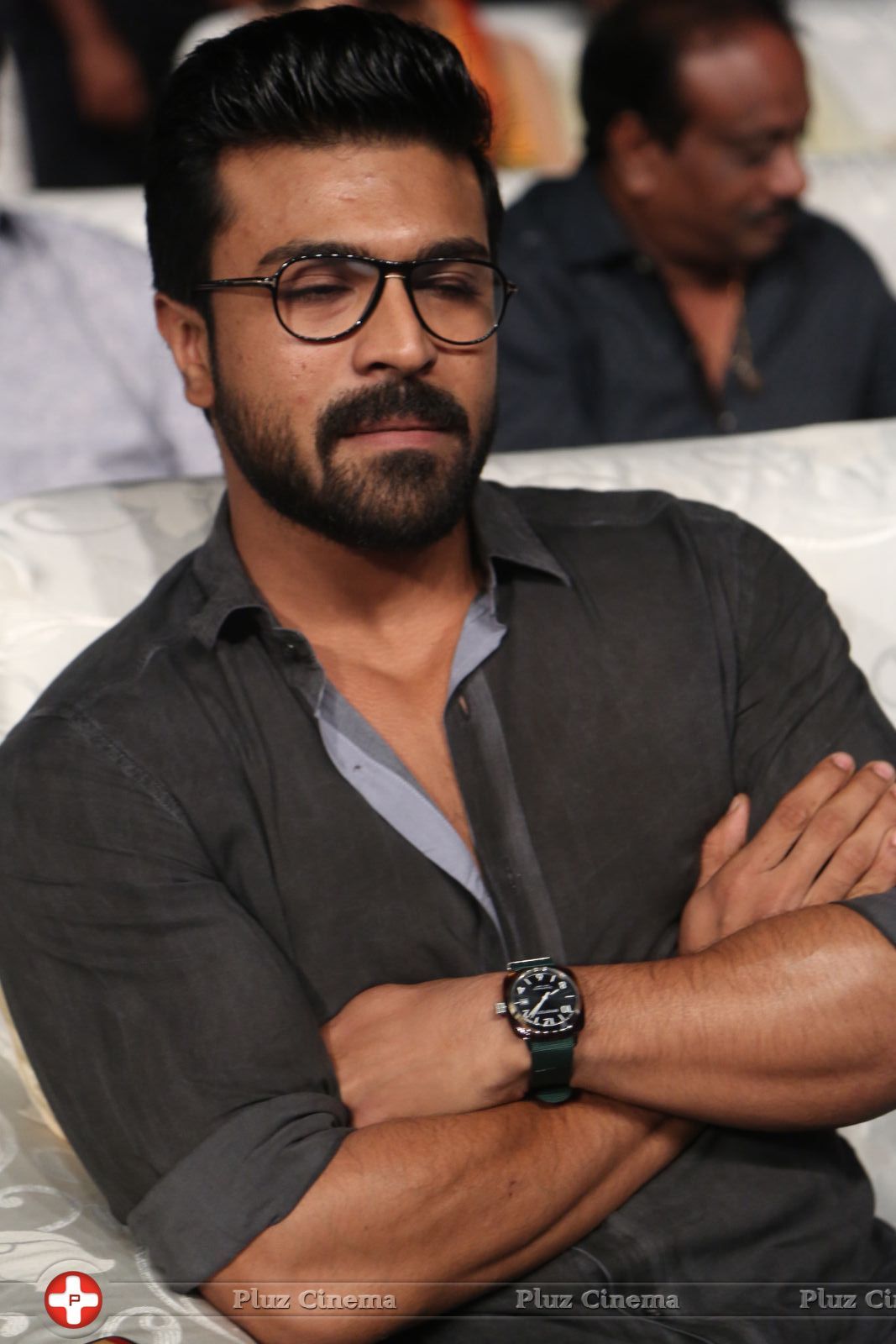 Dhruva Audio Launch Photos | Picture 1443858