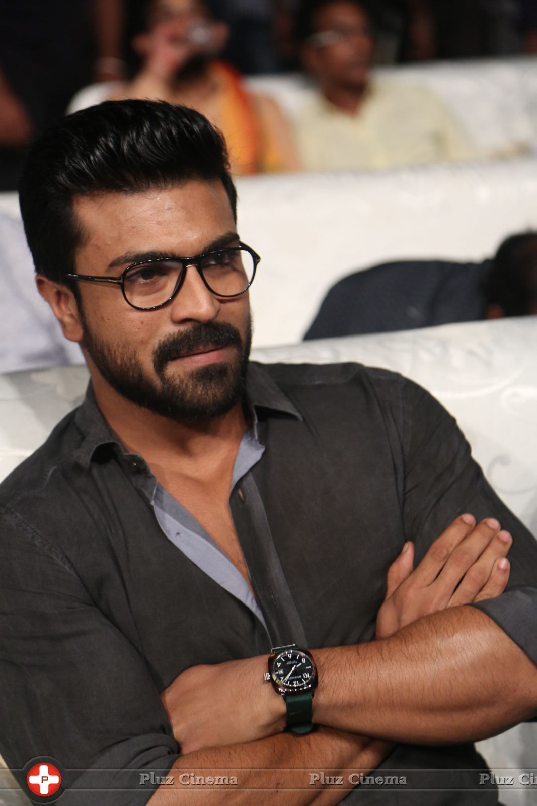 Dhruva Audio Launch Photos | Picture 1443859