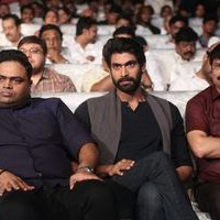 Dhruva Audio Launch Photos | Picture 1443915