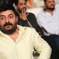 Dhruva Audio Launch Photos | Picture 1443848