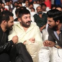 Dhruva Audio Launch Photos | Picture 1443864