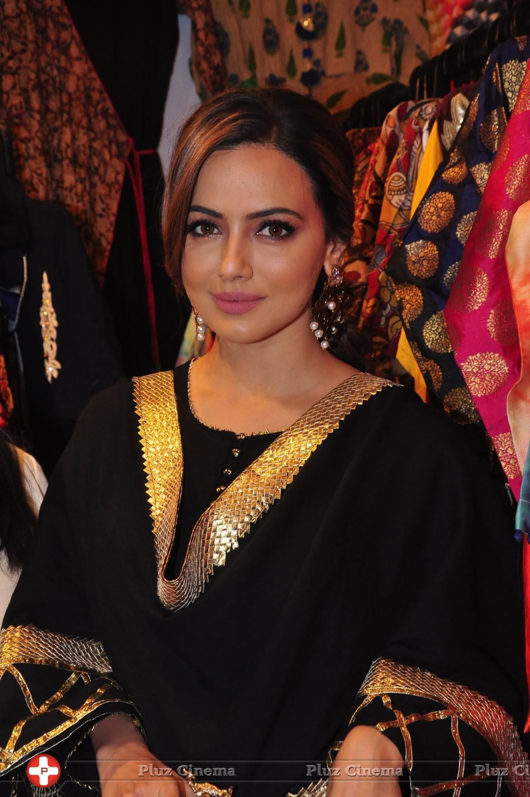 Sana Khan Launches Aakrithi Exibition Photos | Picture 1446510