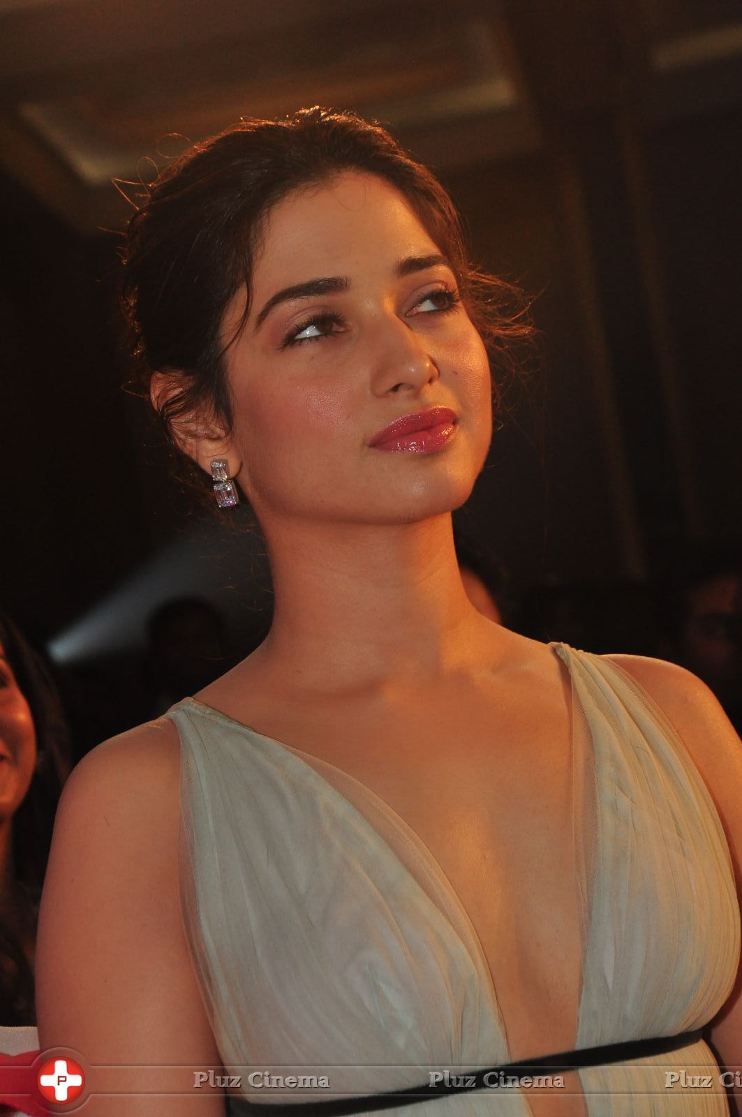 Tamanna - South Scope Life Style Awards 2016 Photos | Picture 1447882