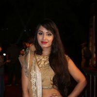 Actress Vennela at Gemini TV Puraskaralu Event 2016 Photos | Picture 1452628