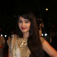 Actress Vennela at Gemini TV Puraskaralu Event 2016 Photos