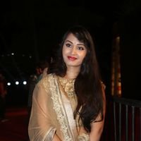 Actress Vennela at Gemini TV Puraskaralu Event 2016 Photos | Picture 1452611