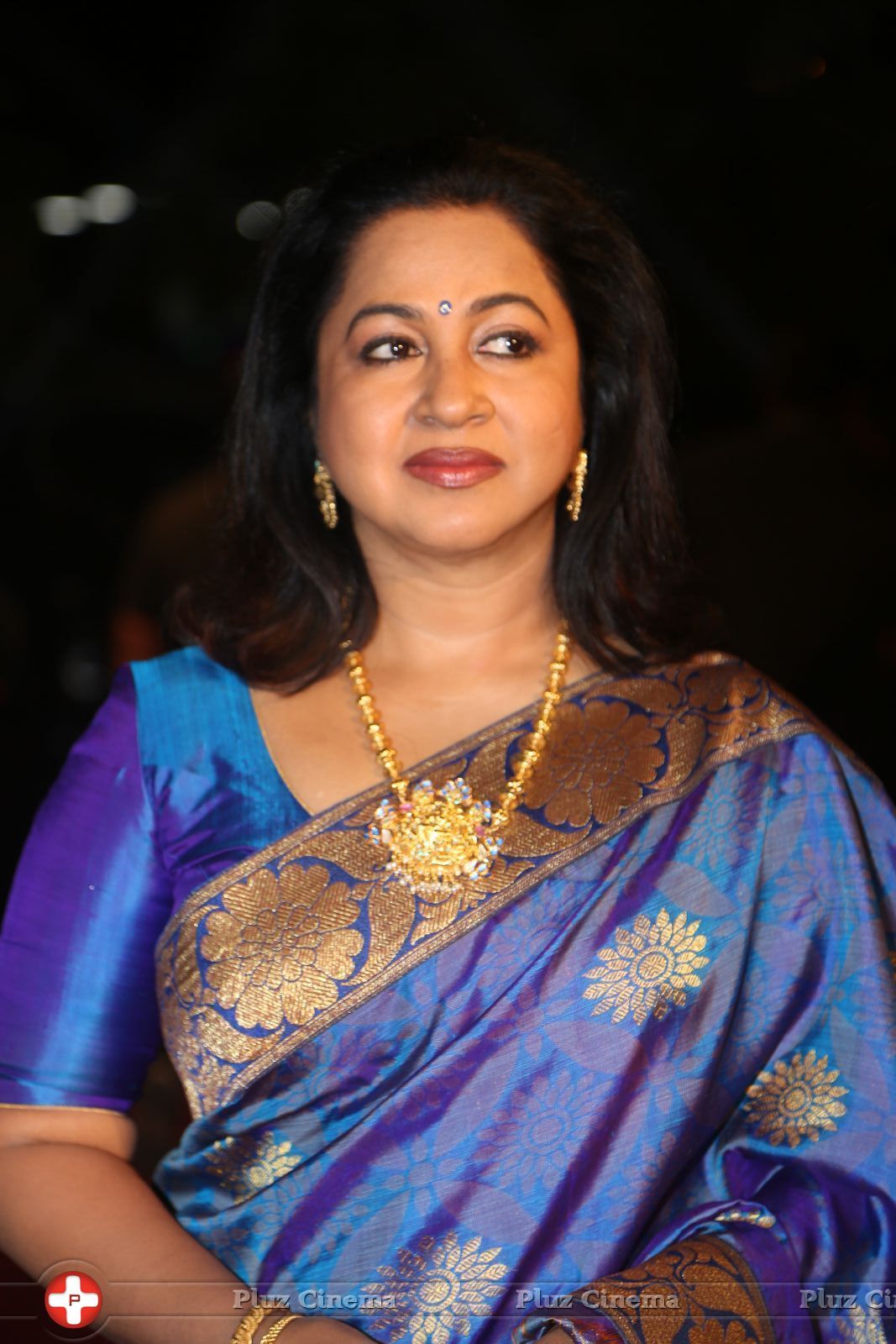 Radhika Sarathkumar - Gemini TV Puraskaralu Event 2016 Photos | Picture 1452545