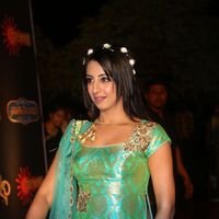 Sanjana Galrani at Gemini TV Puraskaralu Event 2016 Photos | Picture 1452583
