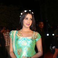 Sanjana Galrani at Gemini TV Puraskaralu Event 2016 Photos | Picture 1452596