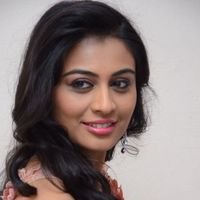 Neha Hinge during Sri Valli Movie Press Meet Photos | Picture 1453719
