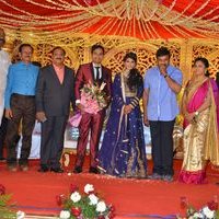 Producer Krishna Reddy Son Wedding Reception Photos | Picture 1455091
