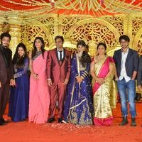 Producer Krishna Reddy Son Wedding Reception Photos | Picture 1455117