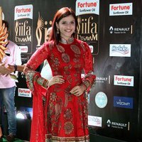 Mannara Chopra at IIFA Utsavam Awards 2017 Photos | Picture 1490179