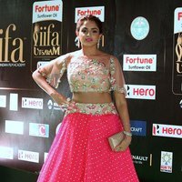 Asmita Sood Hot at IIFA Utsavam Awards 2017 Photos | Picture 1490681
