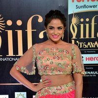 Asmita Sood Hot at IIFA Utsavam Awards 2017 Photos | Picture 1490709
