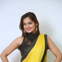 Actress Aswini Hot in Yellow Saree Photos | Picture 1491817
