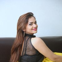 Actress Aswini Hot in Yellow Saree Photos | Picture 1491836