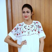 Lavanya Tripathi Hot at Mister Movie Interview Photos | Picture 1493122