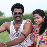 Bava Maradalu Movie Hot Stills | Picture 1493326