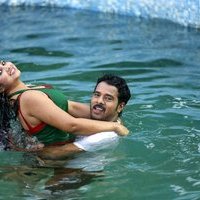 Bava Maradalu Movie Hot Stills | Picture 1493292