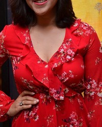 Actress Mannara Chopra at Breya Store Launch Photos | Picture 1522287