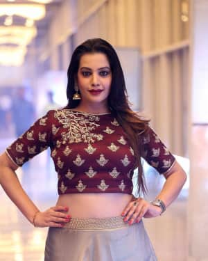 Actress Deeksha Panth Hot Stills at EGO Telugu Movie Audio Launch | Picture 1553729