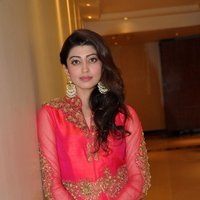 Pranitha at Love For Handloom Fashion Event Photos | Picture 1471800