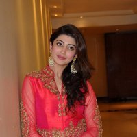 Pranitha at Love For Handloom Fashion Event Photos | Picture 1471793